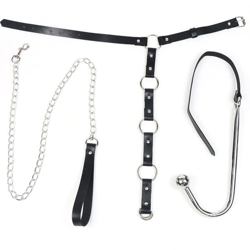 Anal Hooks Anal 5853 with Leash Hook EverydayUse Collar Kinky and 0802
